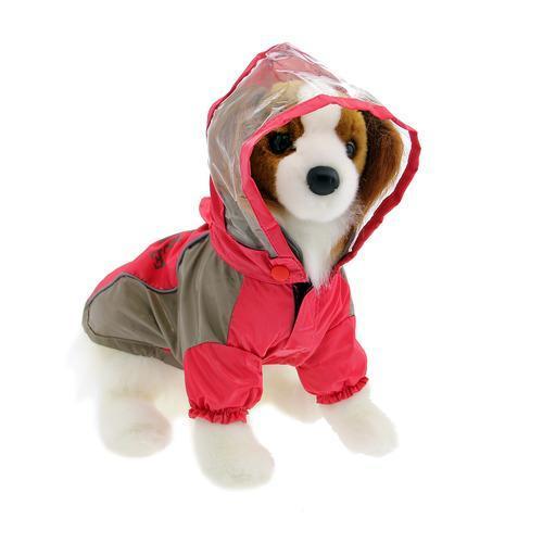Dobaz Boat Race Dog Raincoat - Coral Pink