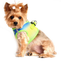 American River Choke-Free Dog Harness - Cobalt Sport Ombre