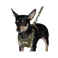ActiveGo Bone Harness by Dogo - Green