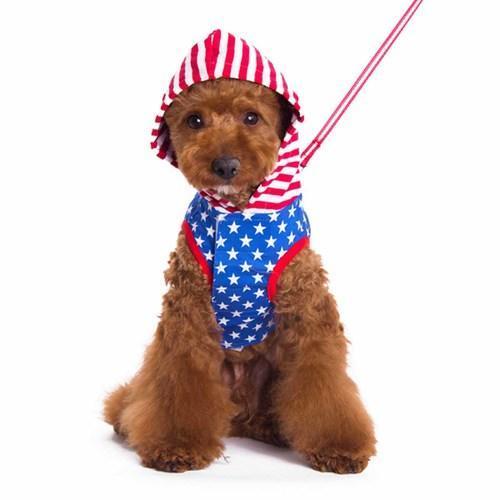 Easy-D USA Dog Hoodie by Dogo