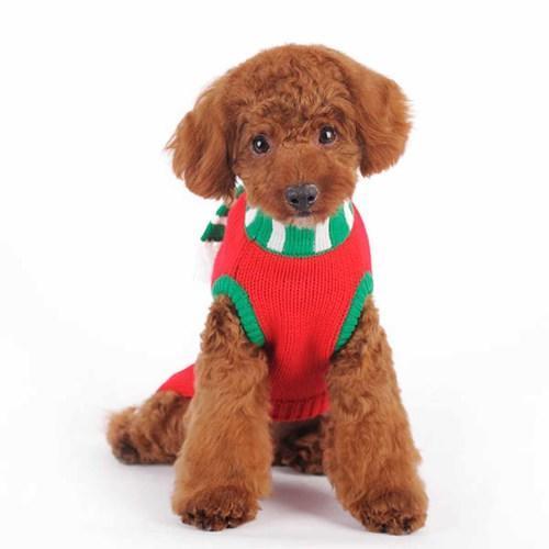Mitten Scarf Dog Sweater by Dogo
