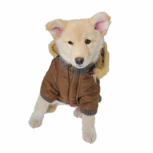 Pocket Dog Parka by Dogo - Brown