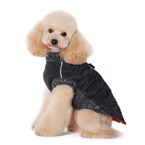 Runner Dog Coat by Dogo - Black