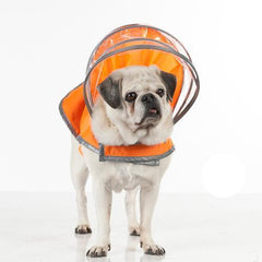 Lightning Line Dog Raincoat - Safety Orange