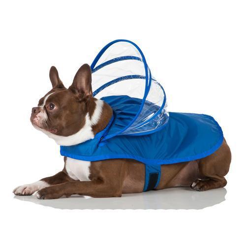 Push Pushi Rainbow Line Dog Raincoat - Royal Blue