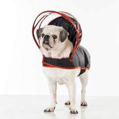 Push Pushi Rainbow Line Dog Raincoat - Black with Red Trim