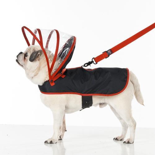 Push Pushi Rainbow Line Dog Raincoat - Black with Red Trim