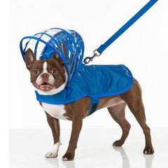 Push Pushi Rainbow Line Dog Raincoat - Royal Blue