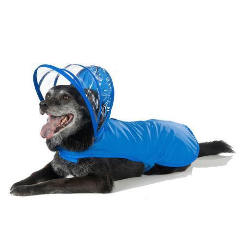 Push Pushi Rainbow Line Dog Raincoat - Royal Blue