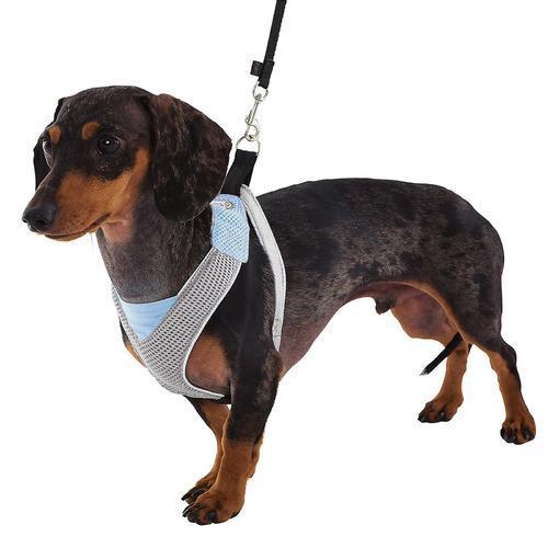 Doggles Blue & Gray V Mesh Harness