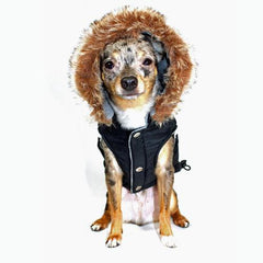 Swiss Alpine Ski Dog Vest by Hip Doggie - Black