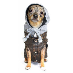Vintage Bomber Dog Jacket by Hip Doggie - Gray Hood