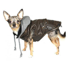 Vintage Bomber Dog Jacket by Hip Doggie - Gray Hood