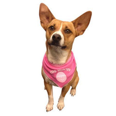 Easter Egg Hunter Dog Bandana - Pink Taffy