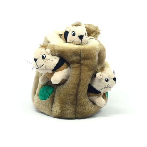 Hide-A-Squirrel Plush Dog Toy