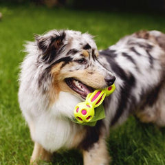 Outward Hound Splash Bombz Bone Dog Toy