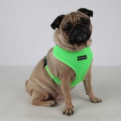 Neon Soft Adjustable Dog Harness by Puppia - Green