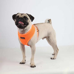 Neon Soft Adjustable Dog Harness by Puppia - Orange