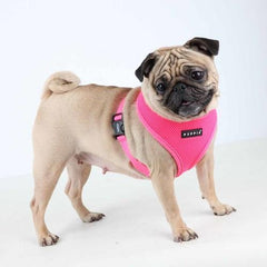 Neon Soft Adjustable Dog Harness by Puppia - Pink