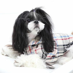 Junior Dog Raincoat by Puppia - Beige