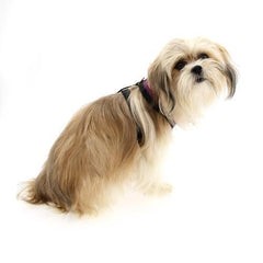 Basic Soft Harness by Puppia - Purple