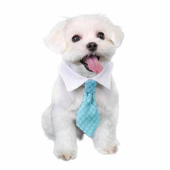 Adrian Dog Shirt Collar and Tie - Blue