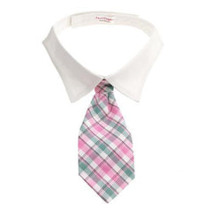 Brooks Dog Shirt Collar and Tie - Pink and Mint Plaid