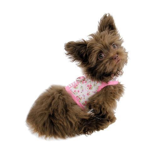 Eva Dog Harness - Pink