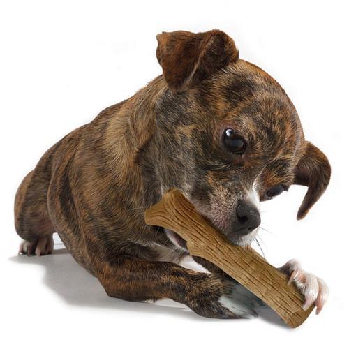 Dogwood Stick Dog Toy from Petstages