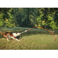 Tether Tug Dog Toy