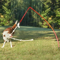Tether Tug Dog Toy