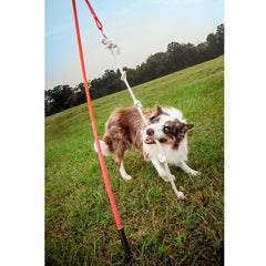 Tether Tug Dog Toy