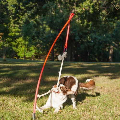 Tether Tug Dog Toy