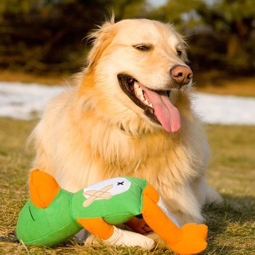 Doggles Cast of Characters Toys - Green Duck