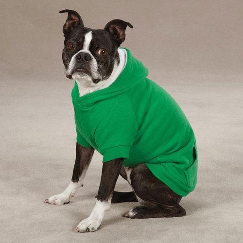 Fleece Lined Dog Hoodie by Zack & Zoey - Green