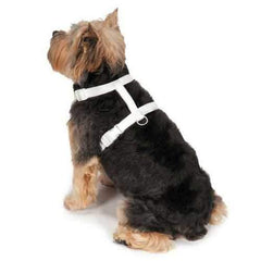 Zack and Zoey Angel Wing Dog Harness Costume