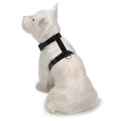 Zack and Zoey Bat Glow Wing Dog Harness Costume