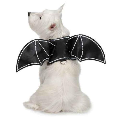 Zack and Zoey Bat Glow Wing Dog Harness Costume
