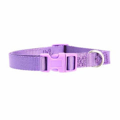 Nylon Dog Collar by Zack & Zoey - Ultra Violet