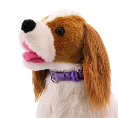 Nylon Dog Collar by Zack & Zoey - Ultra Violet
