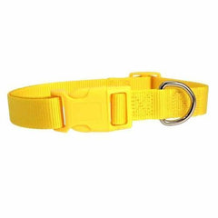 Nylon Dog Collar by Zack & Zoey - Yellow