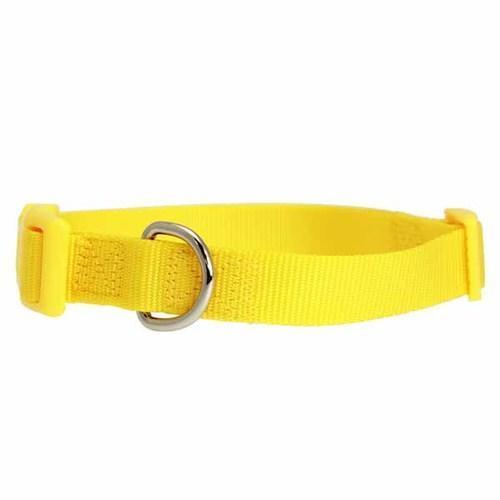 Nylon Dog Collar by Zack & Zoey - Yellow