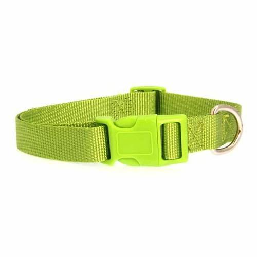 Nylon Dog Collar by Zack & Zoey - Parrot Green