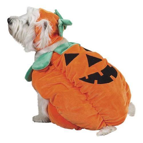 Pumpkin Pooch Costume for Dogs by Zack and Zoey