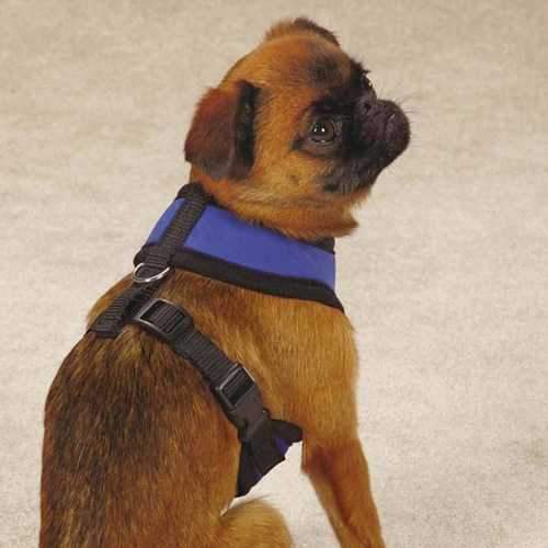Guardian Gear Cool Pup Dog Harness - Light Blue