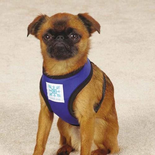 Guardian Gear Cool Pup Dog Harness - Light Blue