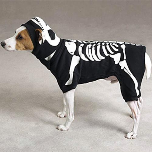 Skeleton Glow Bones Dog Costume by Casual Canine - Black
