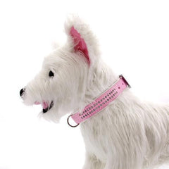 Sparkle Gemstone Dog Collar - Pink