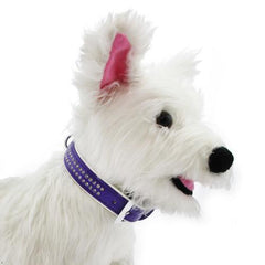 Sparkle Gemstone Dog Collar - Ultra Violet