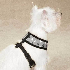 Casual Canine Reflective Pawprint Dog Harness - Gray